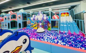 Commercial indoor play center setup generating monthly income from families